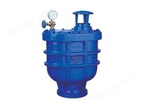 CARX復(fù)合式排氣閥