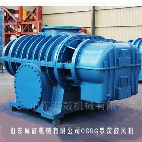 RG系列高壓羅茨鼓風(fēng)機