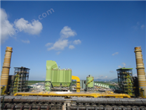 循環(huán)硫化床干法脫硫脫硝除塵一體化設(shè)備