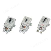 BHZ51系列防爆轉(zhuǎn)換開關(guān)（IB、IC）