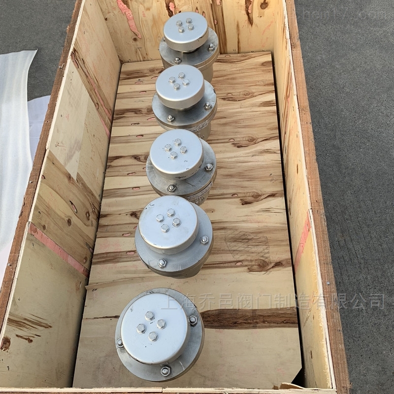 CARX内螺纹不锈钢316L复合式排气阀